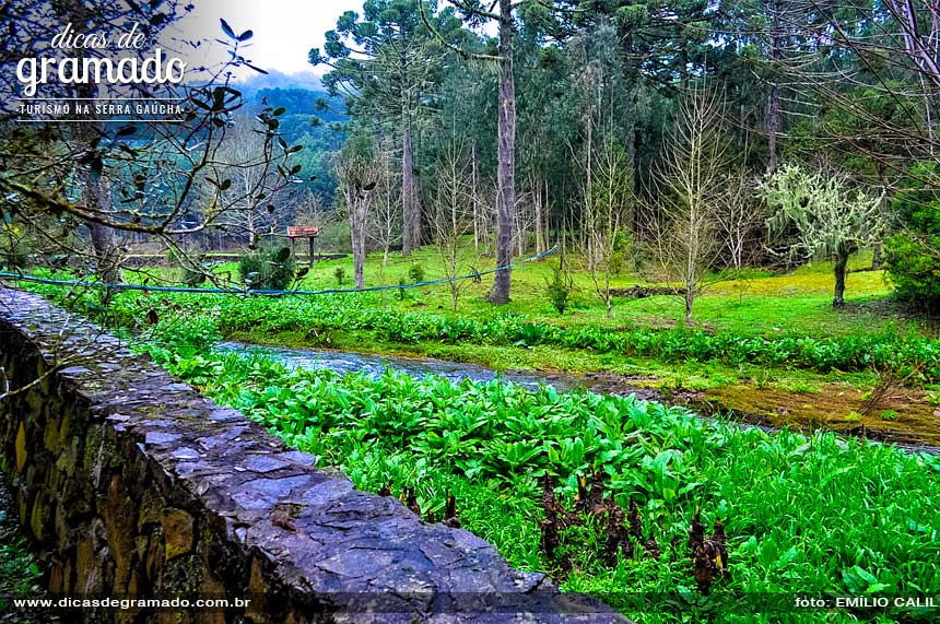 Para o visitante que se propõe a caminhar pela propriedade, o Castelinho Caracol reserva agradáveis surpresas, como este belo riacho e muros de taipas. Para o visitante que se propõe a caminhar pela propriedade, o Castelinho Caracol reserva agradáveis surpresas, como este belo riacho e muros de taipas.