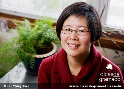 Pesquisadora Ming Kuo: Contato com a natureza aumenta sistema imunológico e amplia nossa saúde mental. Ming Kuo