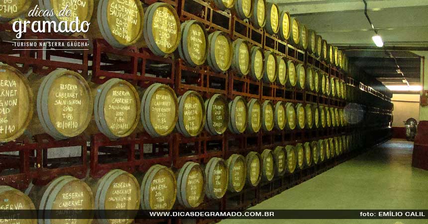 Tour Uva e Vinho: Passeio pelas vinícolas Tour Uva e Vinho: Passeio pelas vinícolas