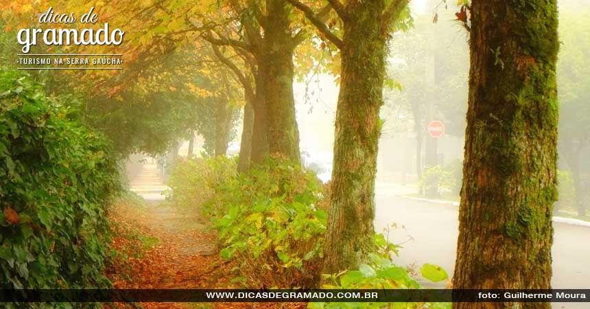 Outono em Gramado: As folhas secas no chão e o tom avermelhado das árvores lhe transportarão para uma outra realidade. Outono em Gramado: As folhas secas no chão e o tom avermelhado das árvores lhe transportarão para uma outra realidade.
