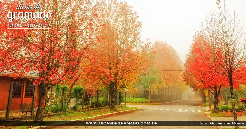 Descubra a beleza e as sensações do outono em Gramado Descubra a beleza e as sensações do outono em Gramado